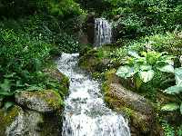 The Minter Garden, a waterfall