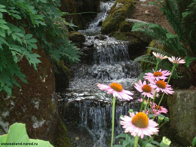 The Minter Garden, a waterfall