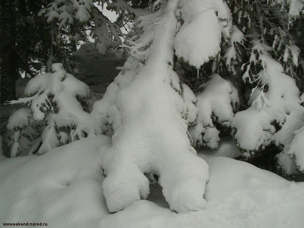 Snow. Winter in Whistler